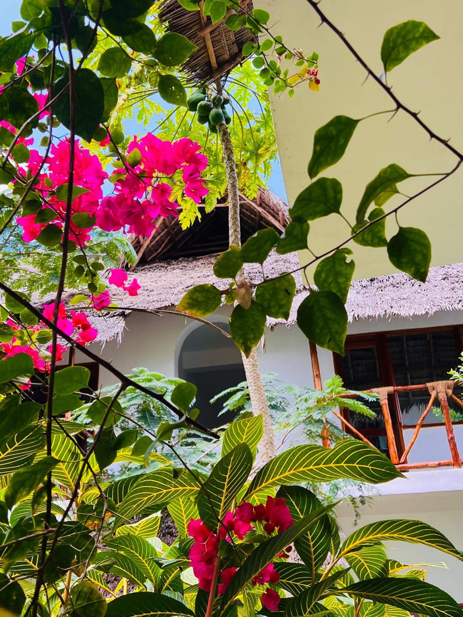 Hotel Tropical Nungwi Exterior foto
