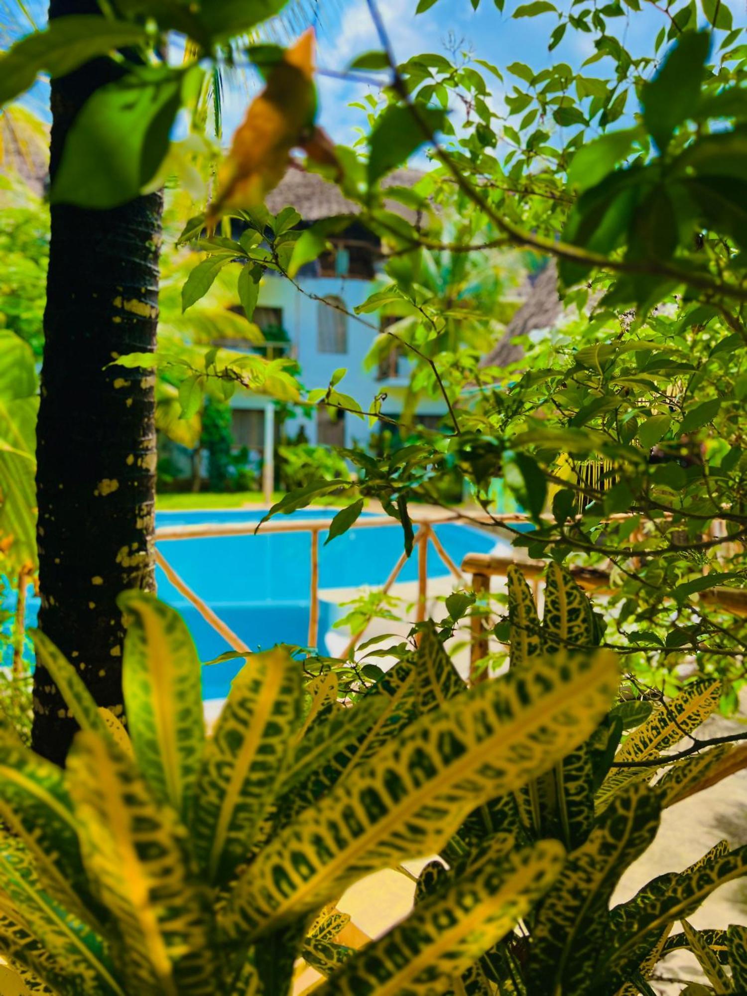 Hotel Tropical Nungwi Exterior foto