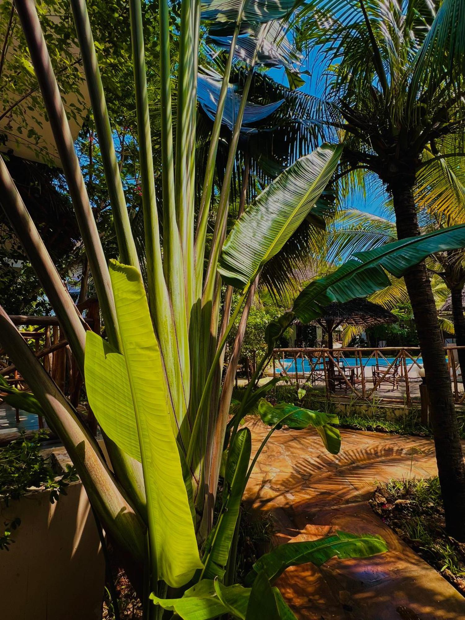 Hotel Tropical Nungwi Exterior foto